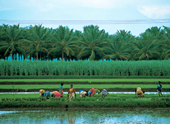 Highlights of Bengal & Orrisa