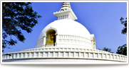 Buddhist Temples