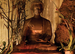 Buddhist Temples