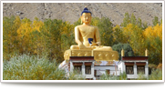 Himalayan Tour