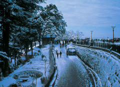 Himalayan Tour