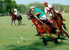 Polo and Cultural Tour 