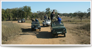 Wildlife Safari Tour